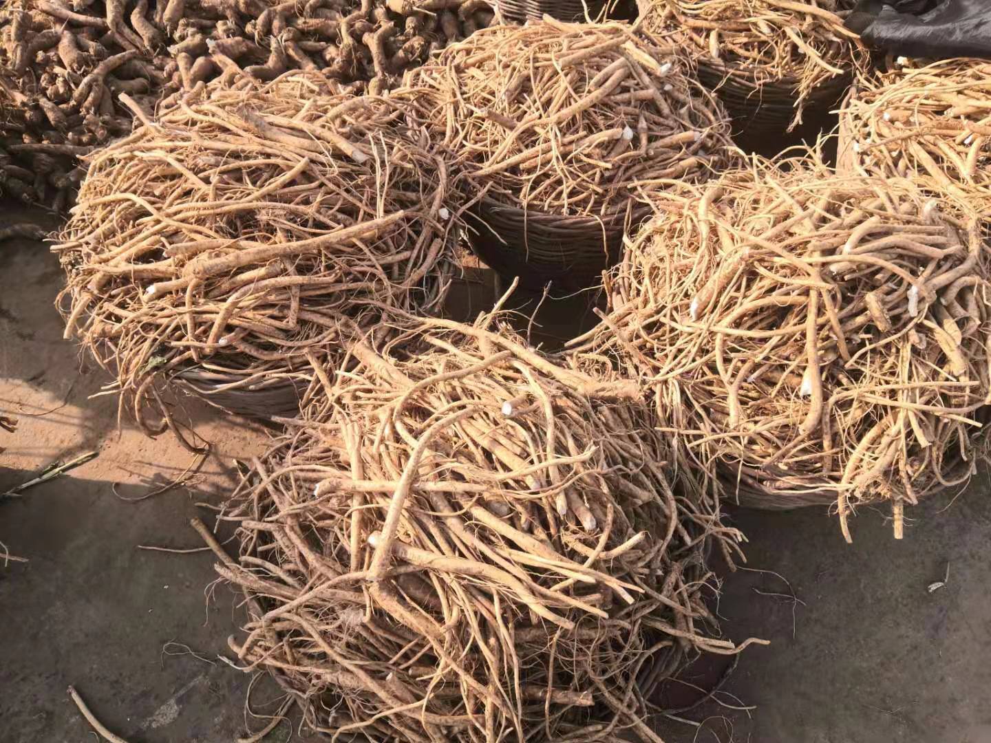 告訴你芥末和辣根的區(qū)別！